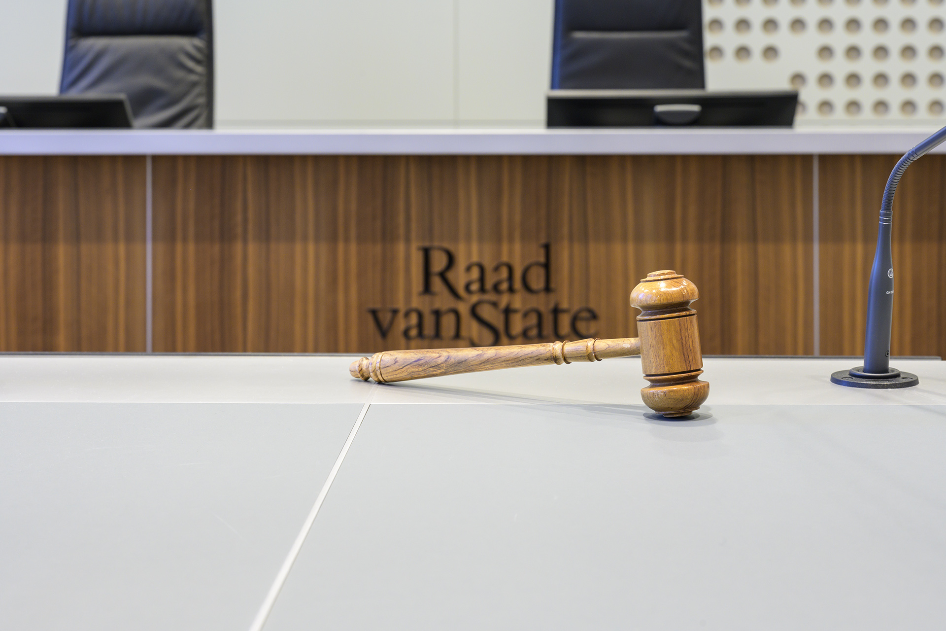 RvS_hamer_met_logo_Raad van State-Tineke Dijkstra RvS_hamer_met_logo_Raad van State-Tineke Dijkstra
